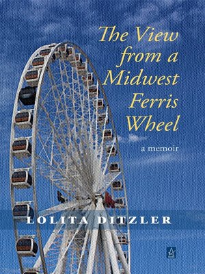 cover image of The View from a Midwest Ferris Wheel